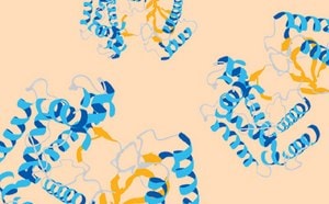 A spiral molecular representation of blue and yellow protein structures on a light background.