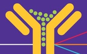 Yellow antibody with green antigens binding to it, set against a purple background with colorful lines representing different interactions or reactions.