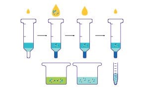 This diagram illustrates the process of extracting DNA from a solution using pipettes.