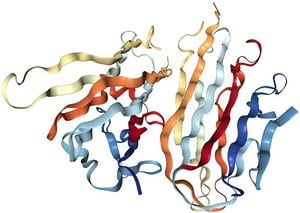 This image appears to be a 3D model of a complex protein structure. The protein consists of multiple intertwined and folded strands, each colored differently to distinguish the various parts.