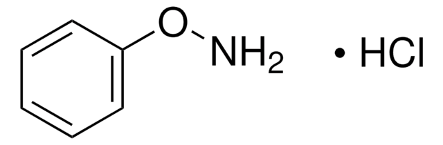 O-Phenylhydroxylamine hydrochloride &#8805;97.0% (AT)