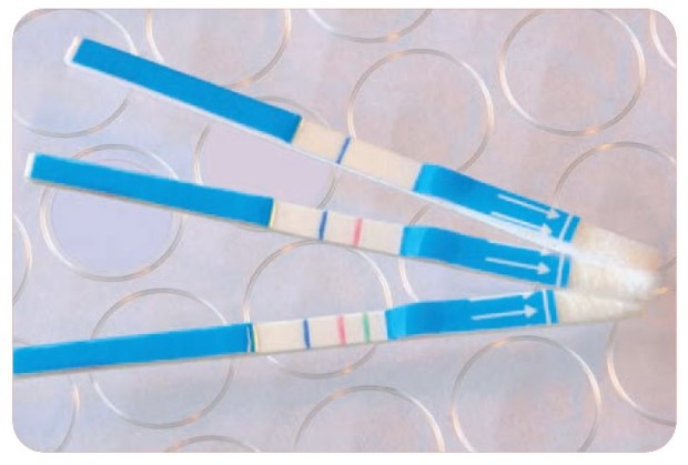 Lateral chromatography assay using Estapor® colored microspheres and Millipore Hi-Flow™ membrane. Tests with visible control and test lines, indicating positive results, placed on a background with a pattern of translucent circles.