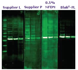 Flour Detection Flour Detection