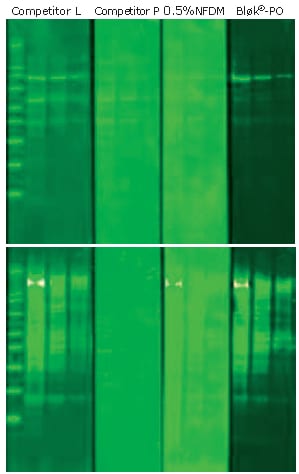Phosph Detection Phosph Detection