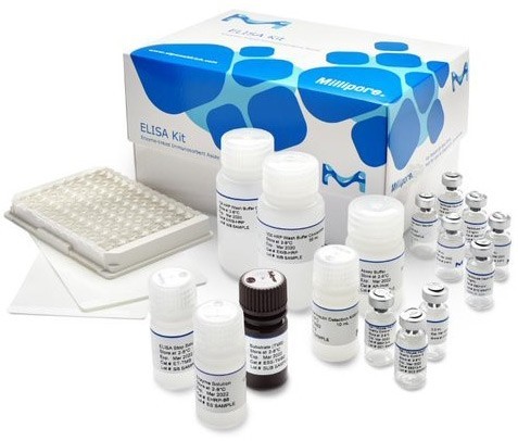 Elisa Kits