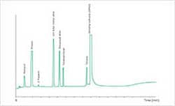 GC Analysis