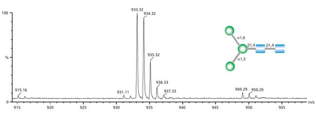 Man-3 聚糖的质谱(相对丰度与 m/z 比率),显示分子离子峰、基峰和碎片峰 Man-3 聚糖的质谱(相对丰度与 m/z 比率),显示分子离子峰、基峰和碎片峰