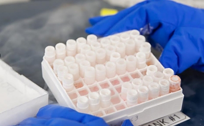 Cell Line Misidentification Cell Line Misidentification