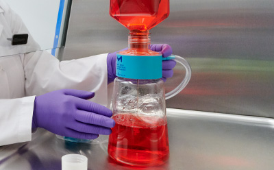Scientist at the tissue culture hood filtering red culture media. Media in the top compartment is separated by the teal filter into the unlabeled bottle on the bottom. Scientist at the tissue culture hood filtering red culture media. Media in the top compartment is separated by the teal filter into the unlabeled bottle on the bottom.