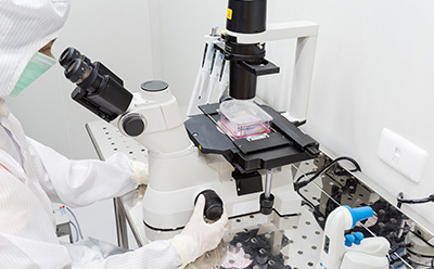 Scientist at the microscope 科研人员穿戴全面防护的洁净服和面具,透过显微镜查看T型培养瓶中的细胞。