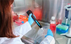 Cell Analysis Cell Analysis