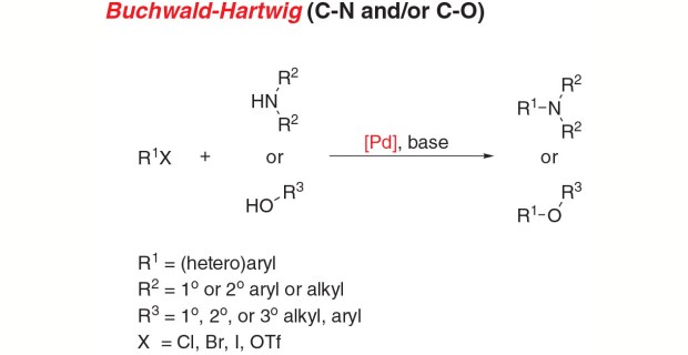 C-N 或 C-O 键形成的 Buchwald-Hartwig 交叉偶联反应方案。 C-N 或 C-O 键形成的 Buchwald-Hartwig 交叉偶联反应方案。