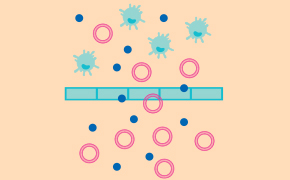 Sterility Testing membrane filtration through a 0.45 µm membrane filter