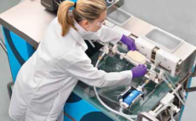 Downstream purification activity 一位科学家正在实验室辛勤工作,埋头研究单克隆抗体下游工艺。