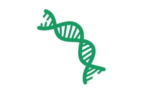 DNA strand Graphic of a DNA strand