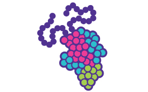 Graphic of a proteins subunit Protein Subunit Vaccines