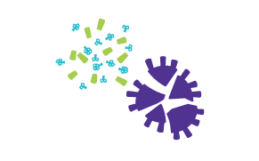 Virus Based Vaccines Virus Based Vaccines