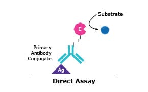 直接测定流程图表。其中显示了标记为“Ag”的一抗偶联物与标记为“E”的酶结合，然后与底物相互作用。