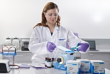 Western Blotting This image depicts a scientist performing an experiment.