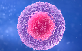 Lymphocyte 单细胞显微镜视图,包含鲜艳的粉红色细胞核和紫色细胞质,深蓝色背景,突出显示详细的表面纹理。