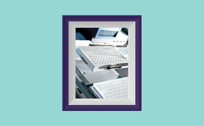 <p>The Art of Filtration 4.0</p>
Graphic showing a framed photo with a photograph of an automated system with MultiScreen plates.