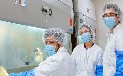 Scientists working on viral vector production at a biosafety cabinet