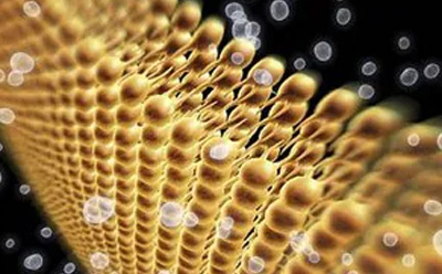 显示磷脂的计算机生成双脂膜图 显示磷脂的计算机生成双脂膜图