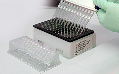 High-Throughput Sample Preparation for PROTAC Synthesis Gloved hand transfers liquid from a multi-channel pipette into wells of a laboratory microplate.