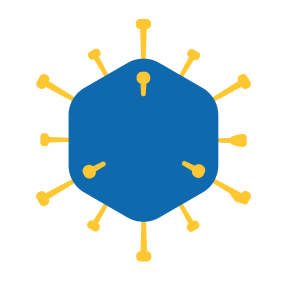 Lentivirus Production 慢病毒载体图解