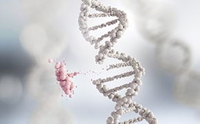 Molecular Biology & Functional Genomics