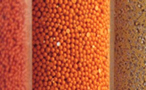 LPLC Media & Accessories A close-up view of four different types of resins or seperation medias, each in a separate vertical section with distinct colors and textures. From left to right: Red Grain: A finely textured, red-colored grain that is densely packed. Orange Seeds: Uniform, spherical, orange seeds closely packed together. Brownish Grains: Smaller, less uniform brownish grains, more spaced out than the others. Yellowish Seeds: Yellowish seeds mixed with small black particles, appearing less dense.