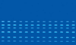 HPTLC plates Well separated multiple bands on HPTLC plates visualized under UV-Visible light
