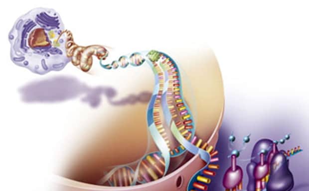 这幅图是一幅生动的 DNA 复制插图。它展示了 DNA 分子在酶的帮助下进行链的分离。