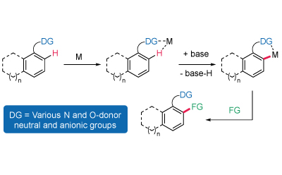 A schematic representation of a chemical reaction sequence involving a molecule with a directing group (DG) and a functional group (FG).