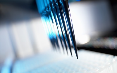 Multichannel pipette dispensing Close-up of a multichannel pipette dispensing samples into a microplate for metabolite library screening and high-throughput research.
