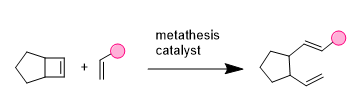 Ring-opening metathesis (ROM(P)) 开环异构化反应由消除环张力的驱动力所驱动。在缺乏过量第二反应配体的情况下,将发生聚合反应(ROMP)。