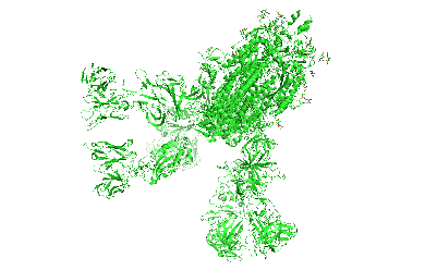 SARS-CoV-2 Spike Glycoprotein