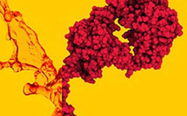 Growth from Cell Culture Medium 黄色背景下的细胞结构显微视图。