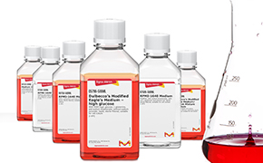 Classical Media Buffers A series of five laboratory bottles containing red liquid arranged in a line with a graduated cylinder partially filled with the same red liquid to the right, set against a white background.