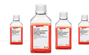 DMEM F12 Media Four laboratory bottles containing red liquid, progressively increasing in size from left to right aligned horizontally against a white background.