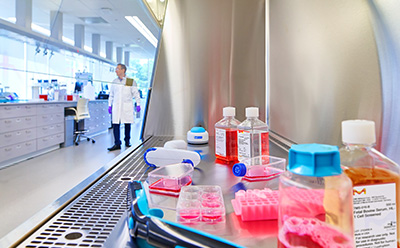 Cell culture workflow in the tissue culture hood Cell culture workflow in the tissue culture hood