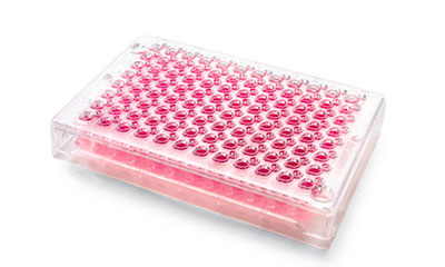 Millicell<sup>®</sup>-96 Cell Culture Insert Plate