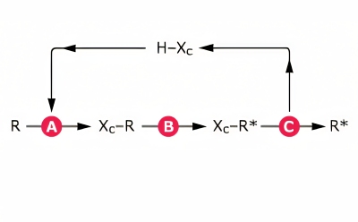 Chiral Auxiliary for Asymmetric Synthesis Diastereoselective transformation using chiral auxiliaries for asymmetric synthesis