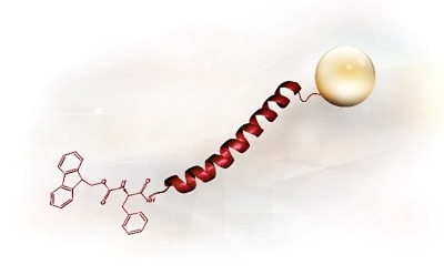Peptide Synthesis 3-D structure of a peptide.