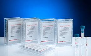 寡聚体和 qPCR 探针 寡聚体和 qPCR 探针