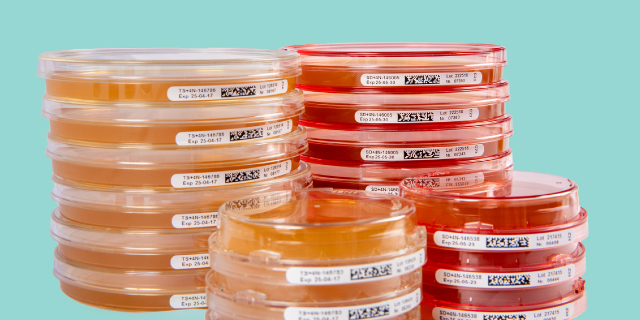 <p>How Crucial is Culture Media Selection in Environmental Monitoring?</p>
Stacks of labeled orange and red culture plates arranged against a turquoise background.