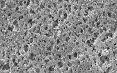 Nylon membrane 尼龙膜的扫描电子显微镜图像替代文本:尼龙膜的扫描电子显微镜图像