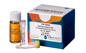 LGC Biosearch™ electrocompetent cells Photograph of TG1 DUOs electrocompetent cells product including packaging box and three vials.