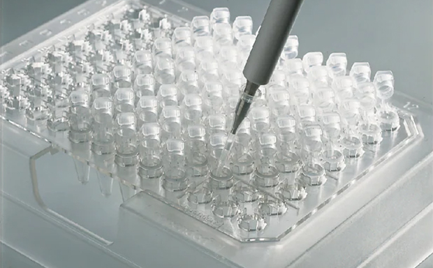 PCR Labware Supplies A pipette dispensing liquid into a microtiter plate with multiple clear wells.