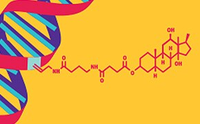 DIG Labeling Methods A colorful DNA double helix on the left side transitioning into an orange molecular structure of a chemical compound on the right, against a yellow background. The molecular structure includes labeled atoms and bonds, indicating a scientific or educational context.